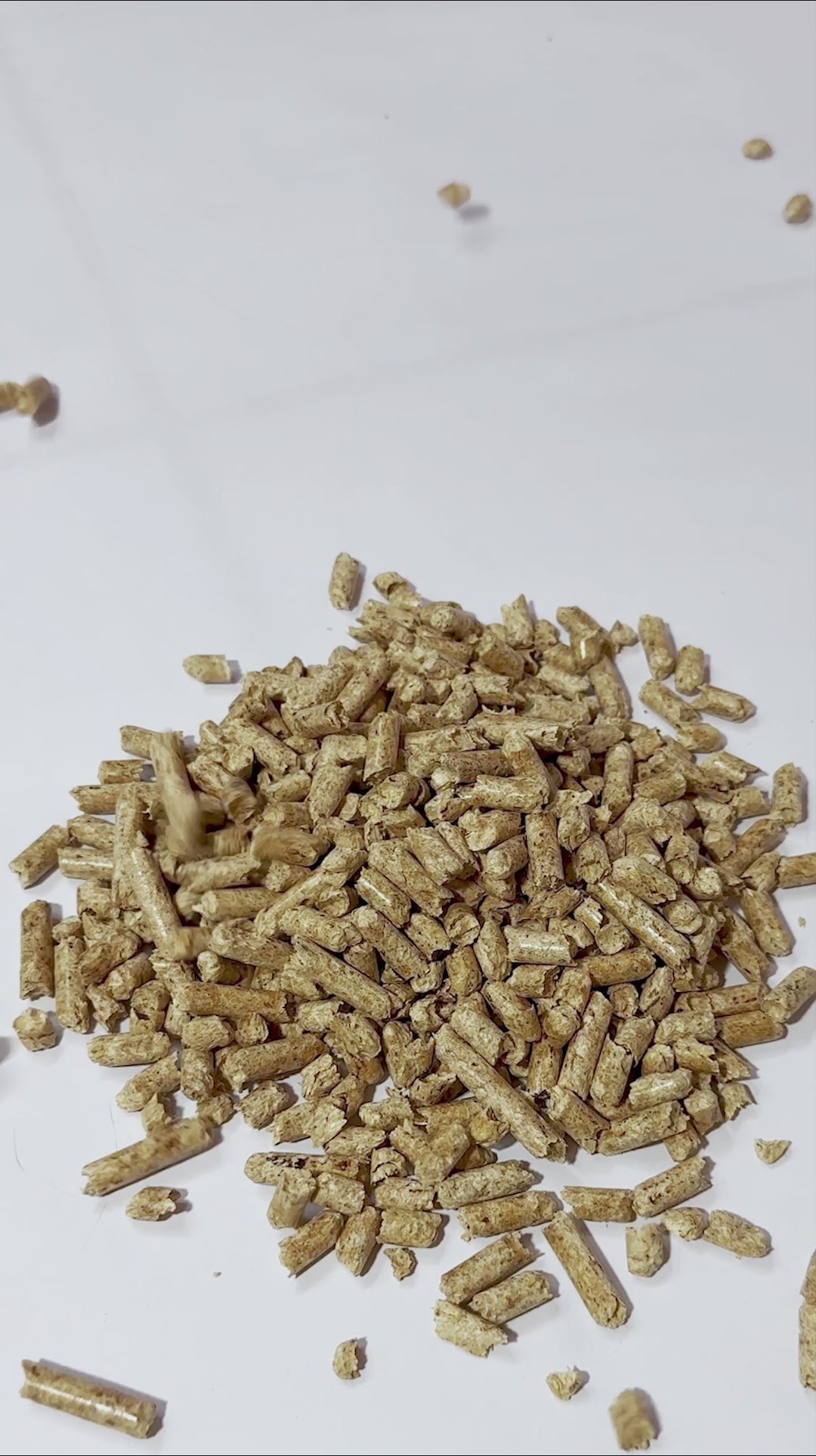 Sustituto de arena para gato | Pellets de madera | Bolsa con 20 kg
