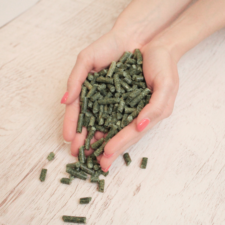 Manos conteniendo pellets de alfalfa para uso como fertilizante orgánico