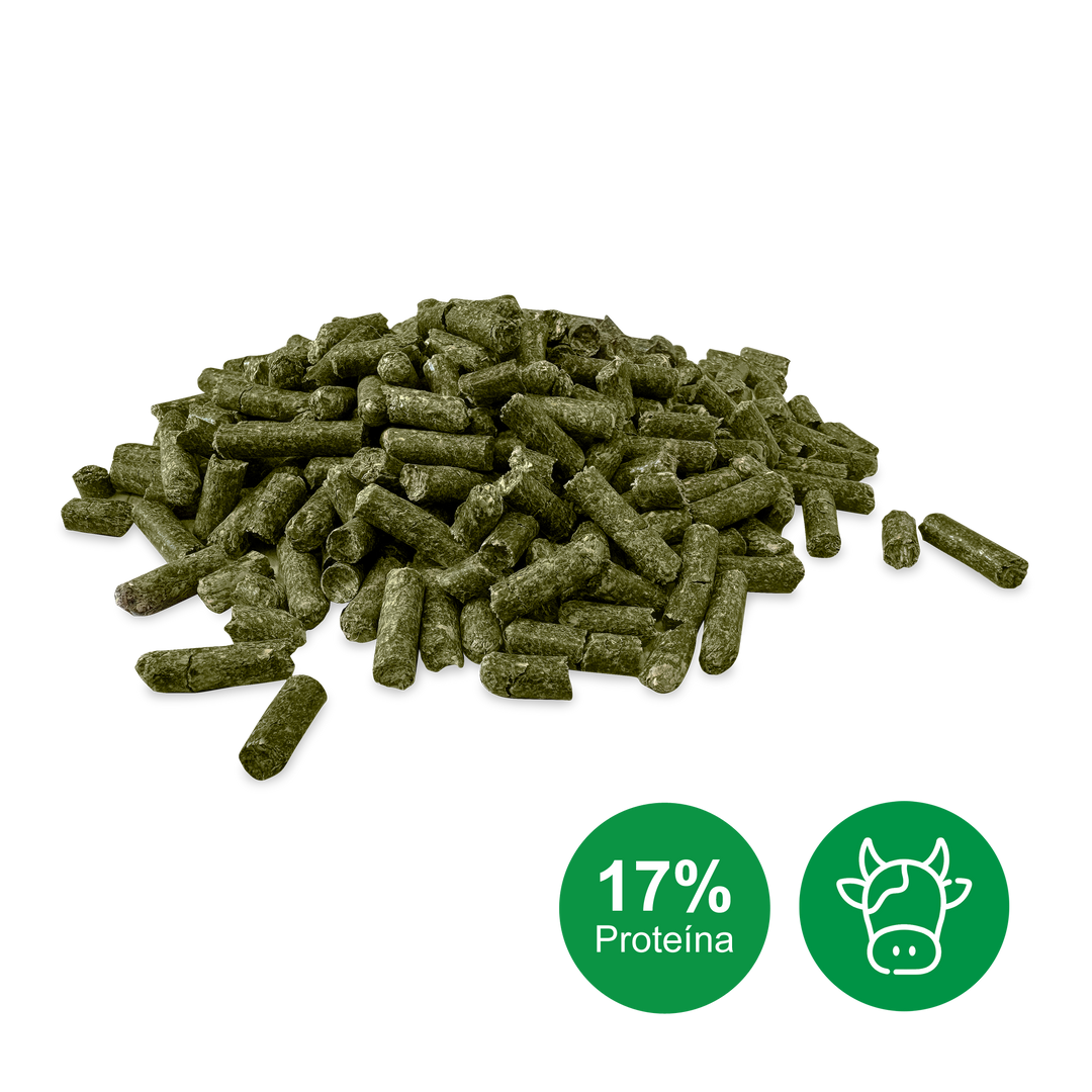 Pellets de alfalfa con 17 por ciento de proteina