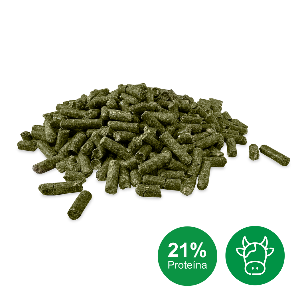 Pellets de alfalfa con 21 por ciento de proteína