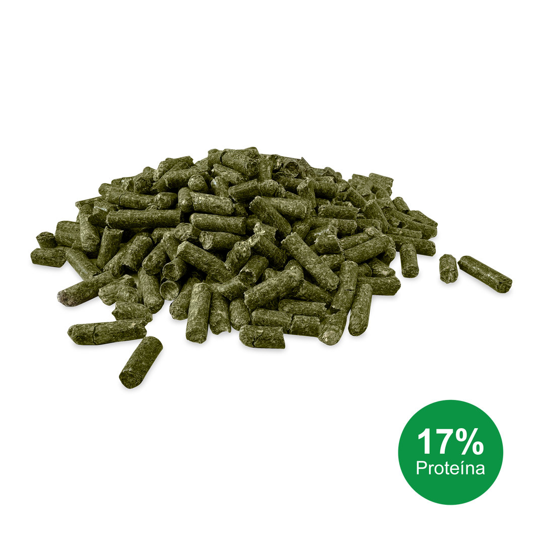 Pellet de Alfalfa 17% Proteína