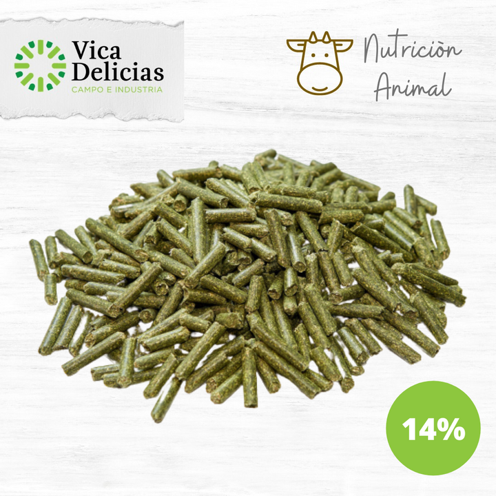 Pellet de Alfalfa 14% Proteína